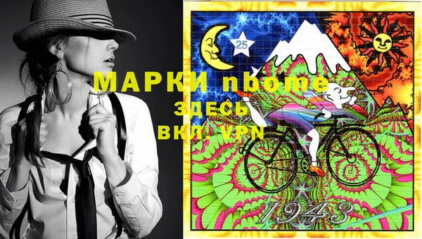 амф Балахна
