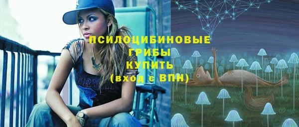 шишки Балабаново